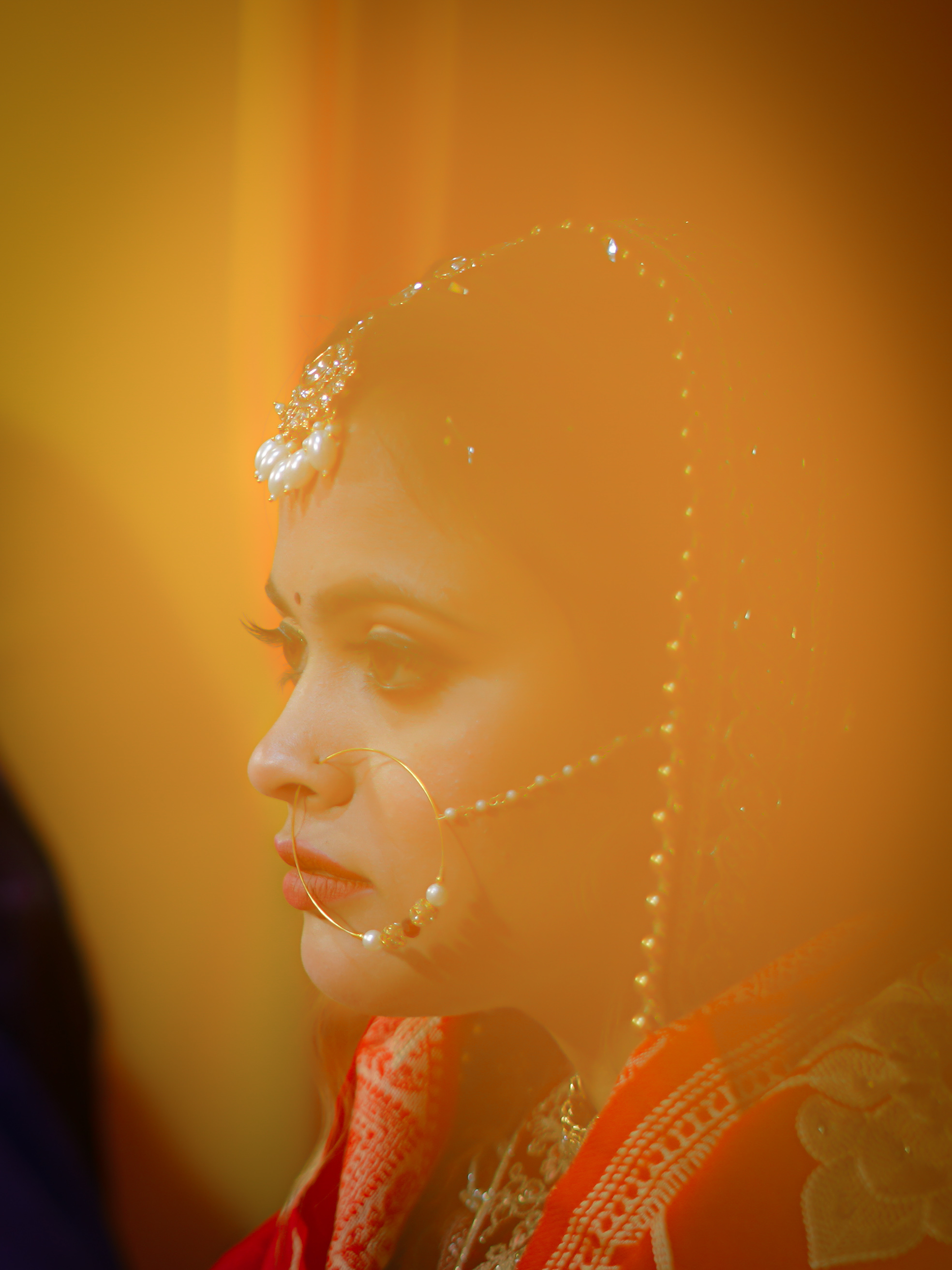Traditional Elegance